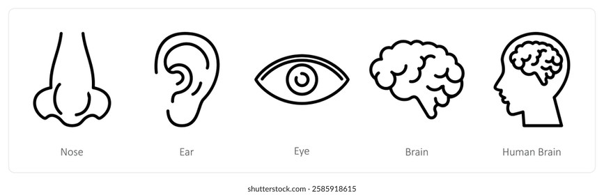 A set of 5 medical icons as nose, ear, eye