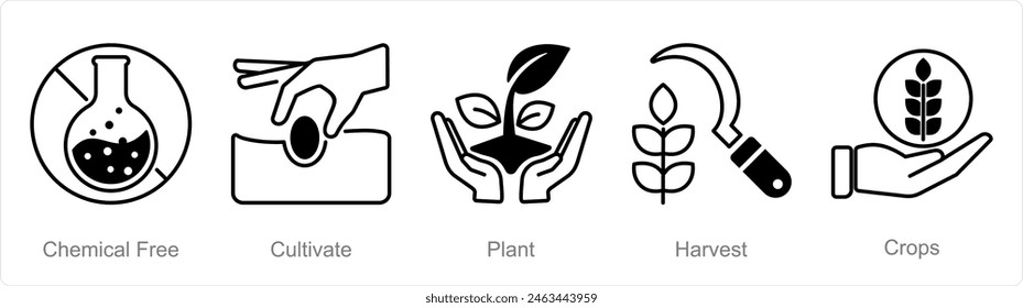 A set of 5 Organic Farming icons as chemical free, cultivate, plant