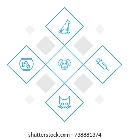 Set Of 5 Pets Outline Icons Set.Collection Of Dog, Vaccination, Cat And Other Elements.