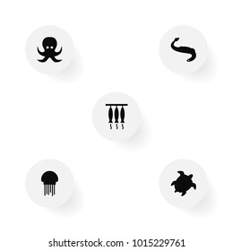 Set of 5 seafood icons set. Collection of acne, tortoise, devilfish and other elements.