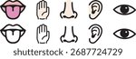 Set of 5 senses icons eye, ear, nose, tongue, hand in vector and line styles. Perfect for sensory, anatomy, or education projects. Isolated and fully editable illustration file on white background.