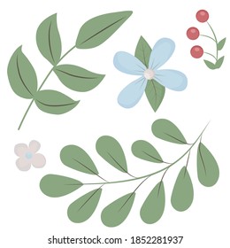 set of 5 simple vector floral elements - branch with leaves, flowers, red berries. Elements for natural design, flower floral green clip art. Vector illustration isolated on white background.