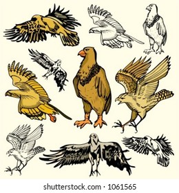 A set of 5 vector illustrations of birds.