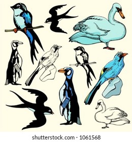 A set of 5 vector illustrations of birds.