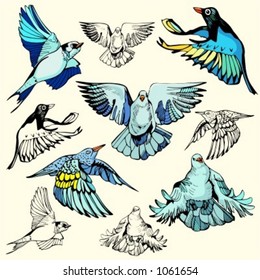 A set of 5 vector illustrations of doves.