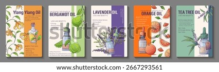 Set of 5 vector infographic posters with glass bottles of essential oils: orange, bergamot, ylang-ylang, lavender, and tea tree. Aromatherapy, cosmetic, wellness, and natural care design.