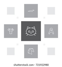 Set Of 5 Zoology Outline Icons Set.Collection Of Lizard, Cat, Cow And Other Elements.