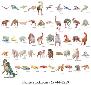 Set Of 50 Dinosaur With Names