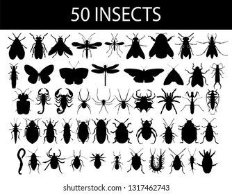 Set of 50 insects. Collection of vector black outline silhouette