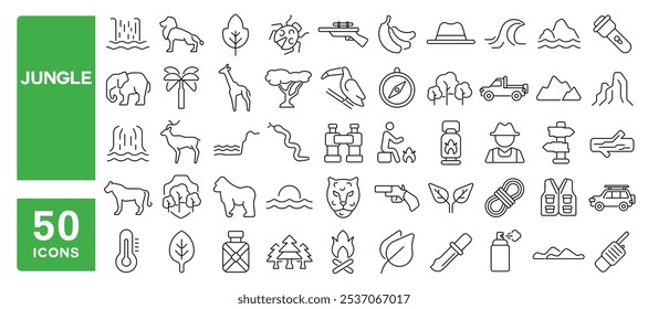 Conjunto de 50 iconos de línea relacionados con la selva, la naturaleza, los animales, los árboles, el bosque, tucán, león, tigre, jirafa, ciervos, gorila, golpe editable. Ilustración vectorial