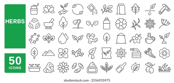 Set of 50 line icons related to herbs, organic, essential, oil, condiment, leaf, root, plant, spices, medical, Editable stroke. Vector illustration