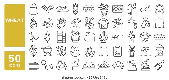 Set of 50 line icons related to wheat, barley, cereal, grain, stalk, seeds, organic, agriculture, fresh, bread, gluten, flour, groat, buckwheat, Editable stroke. Vector illustration