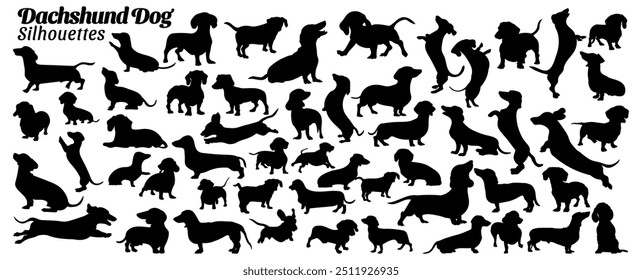 Set of 53 items dachshund dogs silhouette vector illustration