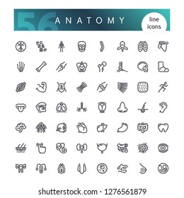 Set of 56 anatomy of the human body organs line icons suitable for web, infographics and apps. Isolated on white background. Clipping paths included.