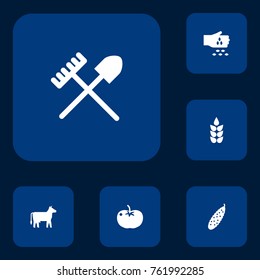 Set Of 6 Agricultural Icons Set.Collection Of Seed, Grain, Vegetable And Other Elements.