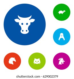Set Of 6 Alive Icons Set.Collection Of Steed, Tortoise, Pussy And Other Elements.