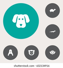 Set Of 6 Alive Icons Set.Collection Of Night Fowl, Gecko, Ape And Other Elements.