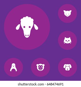 Set Of 6 Alive Icons Set.Collection Of Hog, Pussy, Lamb And Other Elements.