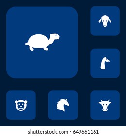 Set Of 6 Alive Icons Set.Collection Of Lamb, Ape, Tortoise And Other Elements.