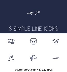 Set Of 6 Alive Outline Icons Set.Collection Of Elephant, Feline Bear, Lizard And Other Elements.