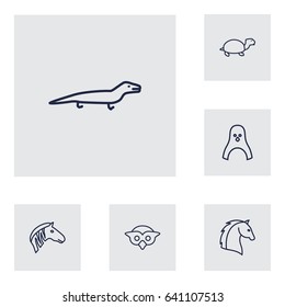Set Of 6 Alive Outline Icons Set.Collection Of Lizard, Owl, Turtle And Other Elements.