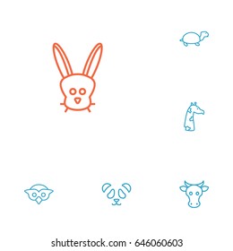 Set Of 6 Alive Outline Icons Set.Collection Of Rabbit, Turtle, Owl And Other Elements.