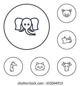 Set Of 6 Alive Outline Icons Set.Collection Of Rhino, Giraffe, Cat And Other Elements.