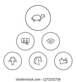 Set of 6 animal icons line style set. Collection of merinos, tortoise, trunked animal and other elements.
