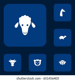 Set Of 6 Animal Icons Set.Collection Of Tortoise, Lamb, Camelopard And Other Elements.