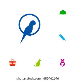 Set Of 6 Animals Icons Set.Collection Of Injection, Bird, Food And Other Elements.
