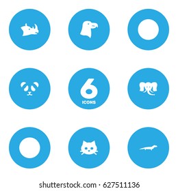 Set Of 6 Beast Icons Set.Collection Of Aquila, Gecko, Rhinoceros And Other Elements.