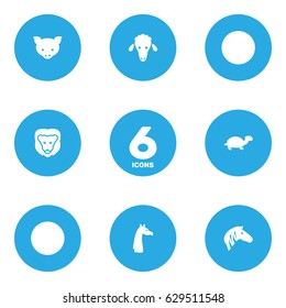 Set Of 6 Beast Icons Set.Collection Of Lamb, Horse, Hog And Other Elements.