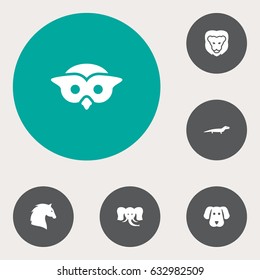 Set Of 6 Beast Icons Set.Collection Of Trunked Animal, Night Fowl, Gecko And Other Elements.