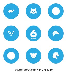 Set Of 6 Beast Icons Set.Collection Of Bear, Hog, Tortoise And Other Elements.