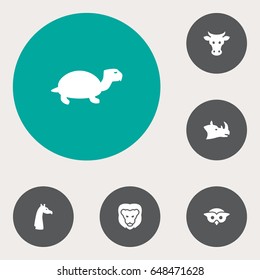 Set Of 6 Beast Icons Set.Collection Of Camelopard, Rhinoceros, Kine And Other Elements.