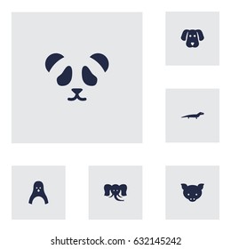 Set Of 6 Beast Icons.Collection Of Hog, Trunked Animal, Bear And Other Elements.