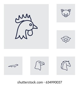 Set Of 6 Beast Outline Icons Set.Collection Of Owl, Horse, Cock And Other Elements.