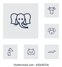 Set Of 6 Beast Outline Icons Set.Collection Of Cat, Dog, Elephant And Other Elements.