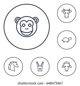 Set Of 6 Beast Outline Icons Set.Collection Of Turtle, Horse, Cow And Other Elements.