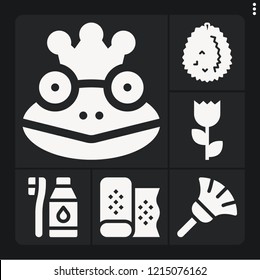 Set of 6 beautiful filled icons such as durian, duster, frog prince, tooth brush, fabric