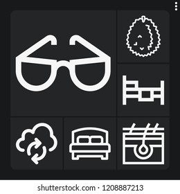 Set of 6 beautiful outline icons such as atmosphere, durian, skin, bed