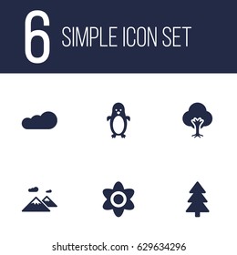 Set Of 6 Bio Icons Set.Collection Of Tree, Spruce, Polar Bird And Other Elements.