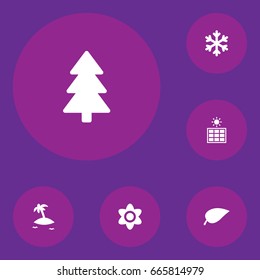Set Of 6 Bio Icons Set.Collection Of Foliage, Solar Panel, Bloom And Other Elements.
