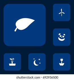 Set Of 6 Bio Icons Set.Collection Of Green Power, Foliage, Bear And Other Elements.