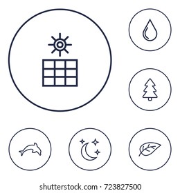 Set Of 6 Bio Outline Icons Set.Collection Of Sun Power, Fir Tree, Moon With Star And Other Elements.