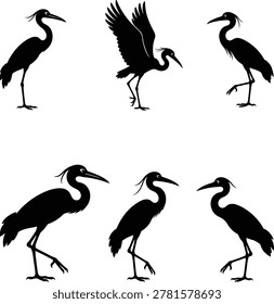 Set of 6 black vector silhouettes of herons in various poses: standing, walking, and flying. Elegant, detailed shapes capturing the long neck, beak, and legs of wading birds. Perfect for nature brands, wetland conservation, fishing logos, spa and wellness, yoga studios, and Japanese-inspired designs. Clean silhouettes ideal for logos, tattoos, laser cutting, decals, and wildlife branding.