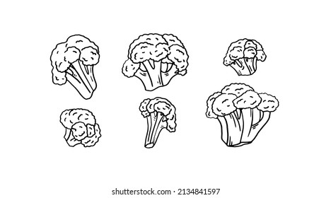 set of 6 black and white broccoli doodles