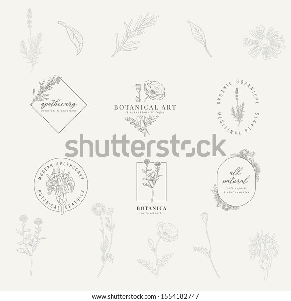 Set 6 Botanical Logos Hand Drawn Stock Vector (Royalty Free) 1554182747