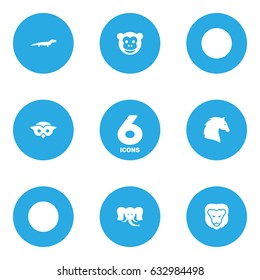 Set Of 6 Brute Icons Set.Collection Of Gecko, Wildcat, Steed And Other Elements.
