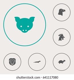 Set Of 6 Brute Icons Set.Collection Of Aquila, Gecko, Wildcat And Other Elements.